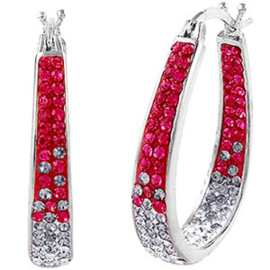 Sterling Silver Crystal Hoop Earrings