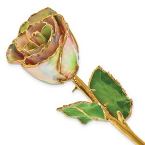 Quality Gold Lacquer Dipped Gold Trim Galaxy Iridescent Rose
