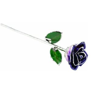 PLATINUM PLATED PURPLE OMBRE LACQUERED  ROSE