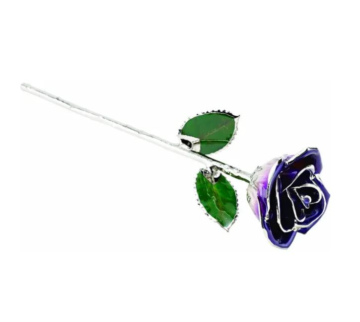 PLATINUM PLATED PURPLE OMBRE LACQUERED ROSE