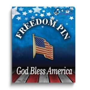 GOLD-TONE ENAMELED UNITED STATES FLAG PIN