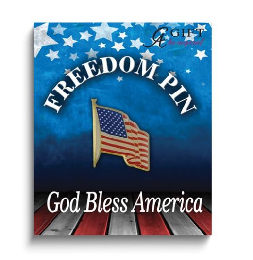 GOLD-TONE ENAMELED UNITED STATES FLAG PIN
