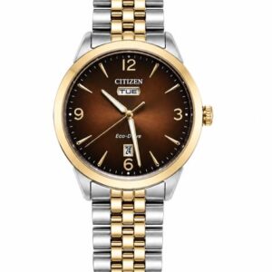 CITIZEN GENTS TWO-TONE STAINLESS STEEL BROWN WR100 ECO-DRIVE WATCH
