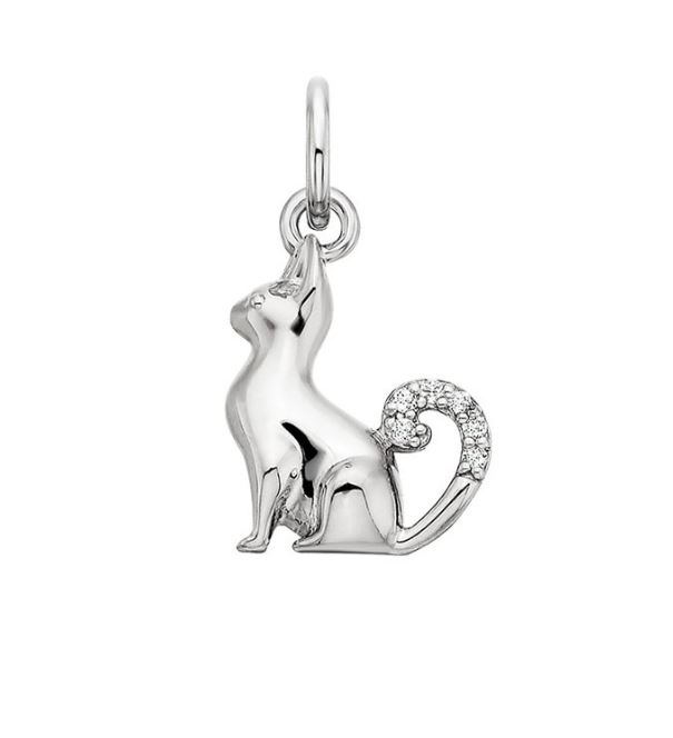SS WHITE TOPAZ CAT CHARM