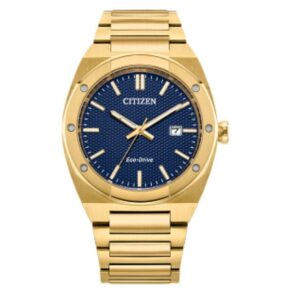 CITIZEN MEN'S ECO-DRIVE WR100 SPORT LUXURY WATCH